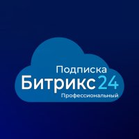 Подписка для тарифа Профессиональный